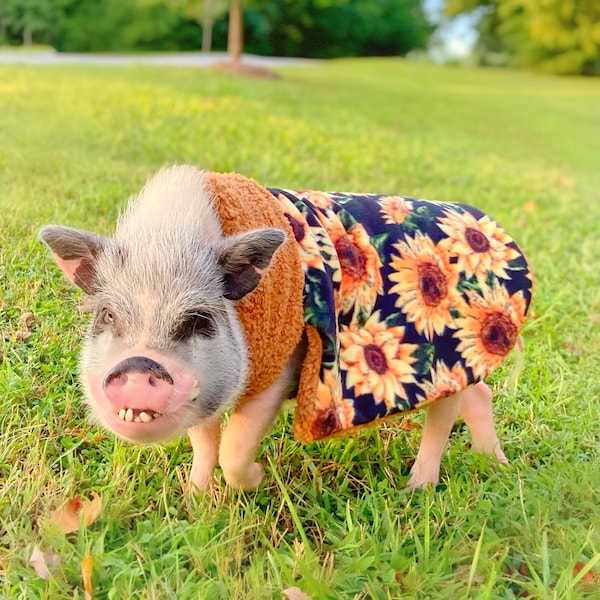 Ultimate Warm Fleece and Sherpa Blanket Sweater, Mini Pig Clothes, Pet Sweater