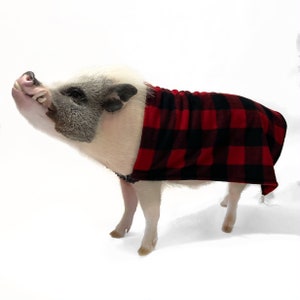 Easy-on Elastic Fleece Cloak with Leash Hole, Mini Pig Clothes, Pet Sweater, Clothing for Pot Belly Pigs image 8