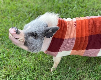 Custom Pig Sweater Embroidered Pet Name - Double Layer Mini Pig Coat with Leash Hole for Potbelly Pigs, Hogs, Kune Kunes & Boar Clothing