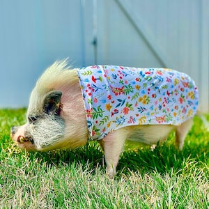 Puede incluir: Un pequeño cerdo con una camisa blanca con un estampado floral de colores. El cerdo está de pie sobre hierba verde.