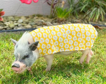 Easy-on Summer Sun Cloak with Elastic Neck Strap to Prevent Pig Sunburn on Skin from Sun