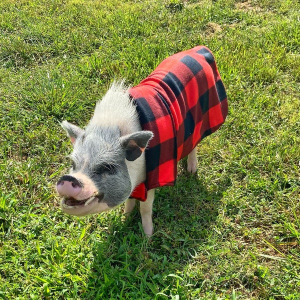 Pig Sweater - Etsy