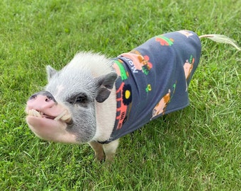 Custom Embroidered Easy-on Cloak Pet Sweater, Mini Pig Clothes, Clothing for Pot Belly Pigs