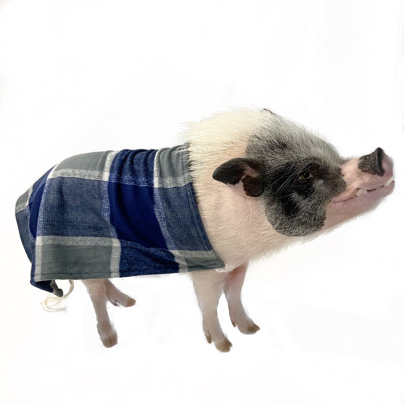 Easy-on Elastic Fleece Cloak with Leash Hole, Mini Pig Clothes, Pet Sweater, Clothing for Pot Belly Pigs image 6