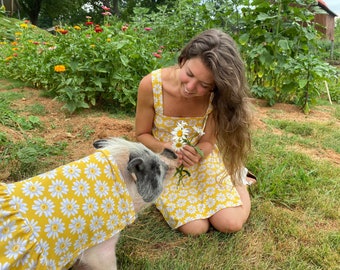 Matching Yellow Daisy "Mommy and Me" Pet and Human Dresses for Pot Belly Pigs, Mini Piglet or Dog Clothes, Spring Summer Occasion Photoshoot