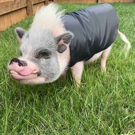 water resistant sweater