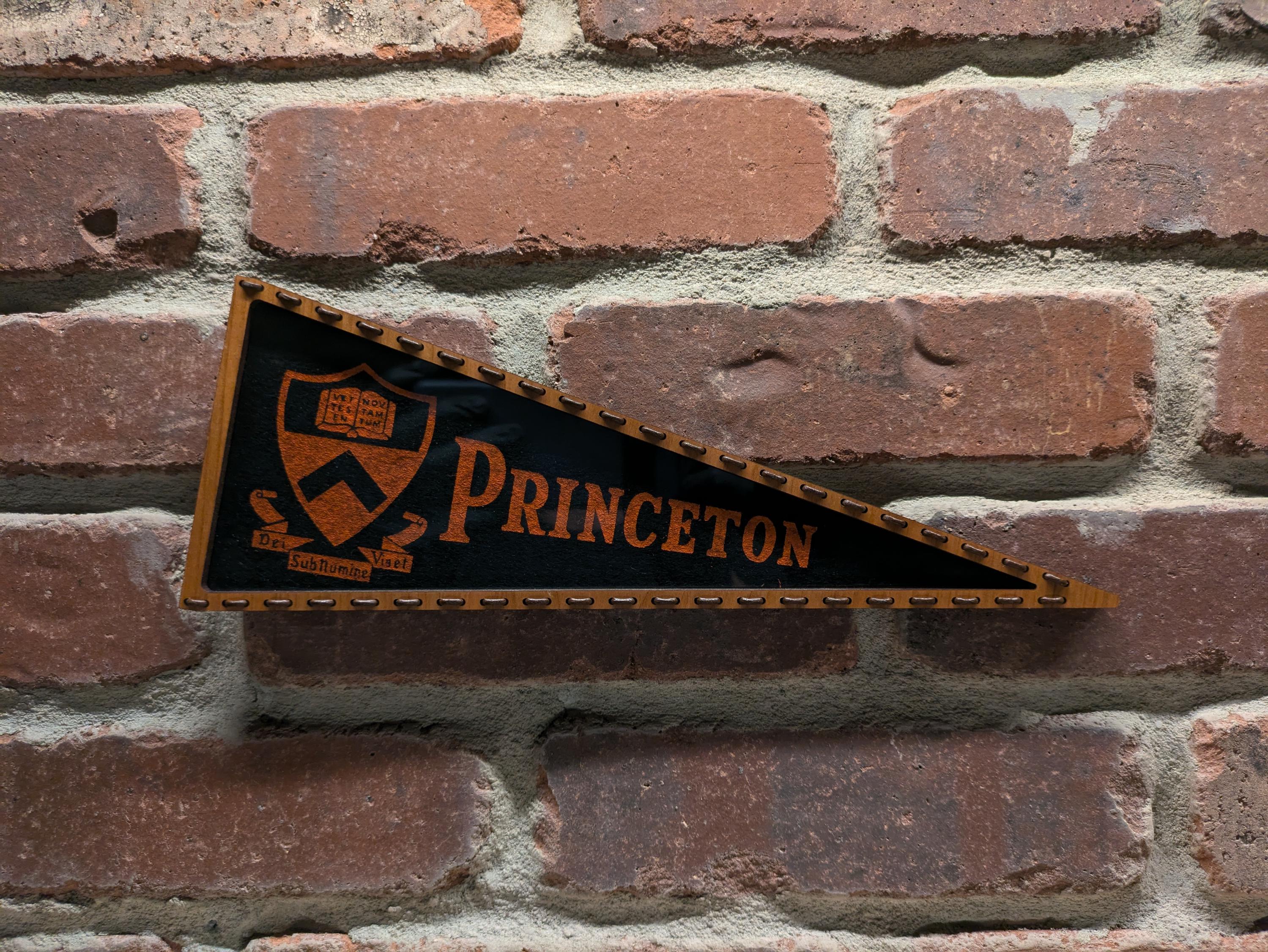 Framed 1950s Princeton University Tigers Vintage NCAA Mini Pennant