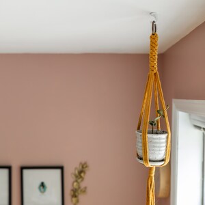 May include: A yellow macrame plant hanger with a white ceramic pot and a small green plant hanging from the ceiling in a room with pink walls.