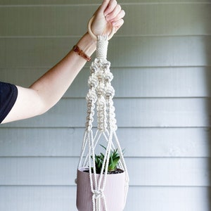 May include: A white macrame plant hanger with a wooden ring at the top. A pink planter with a succulent plant is hanging in the macrame.