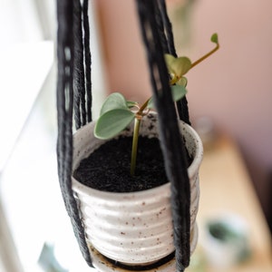 Black Macrame Plant Hanger - Hanging Planter - Pot Hanger - Succulent Planter - Housewarming Gift  - Gifts for Women