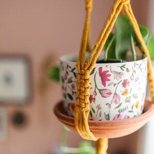 May include: A yellow macrame plant hanger with a white ceramic pot with a floral pattern. The pot is filled with a green plant.