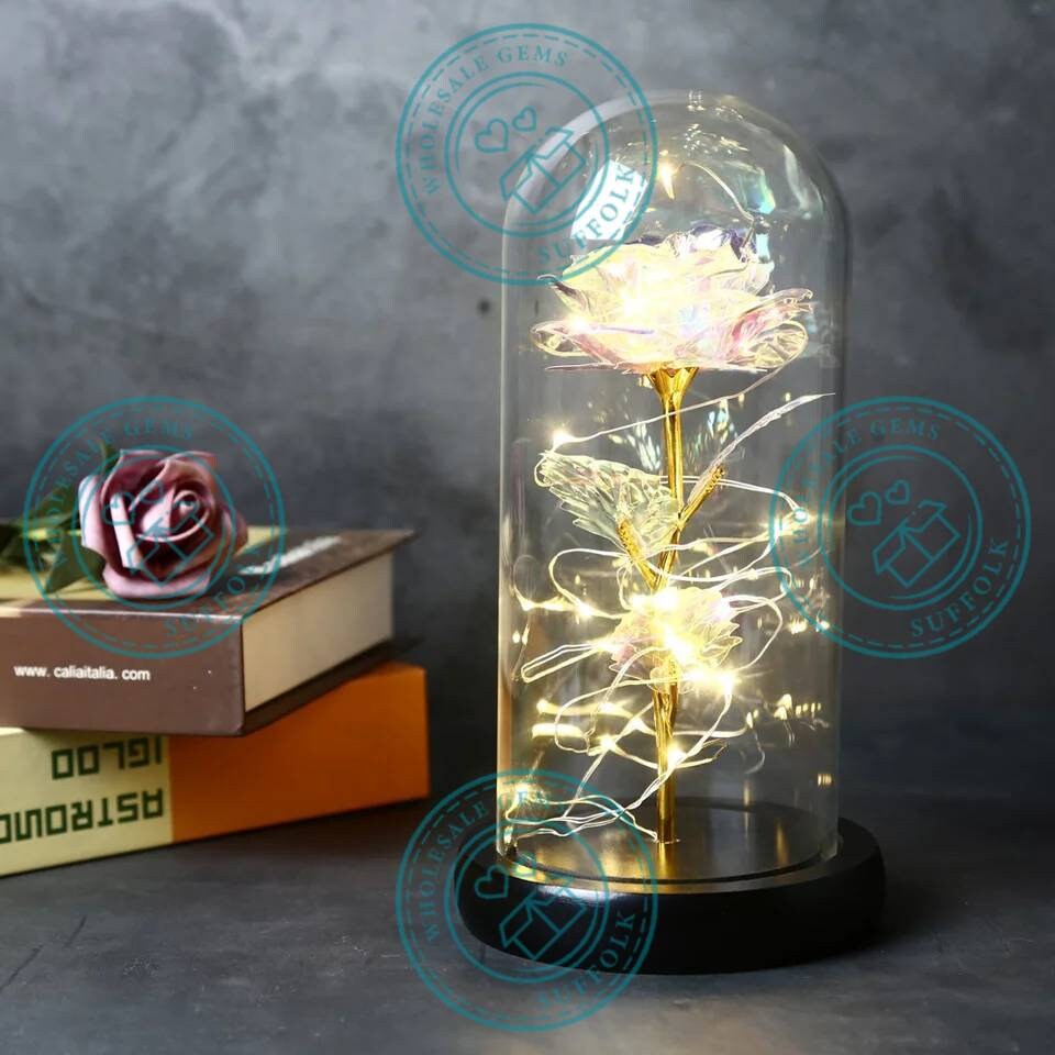 LED Roses in domes Etsy