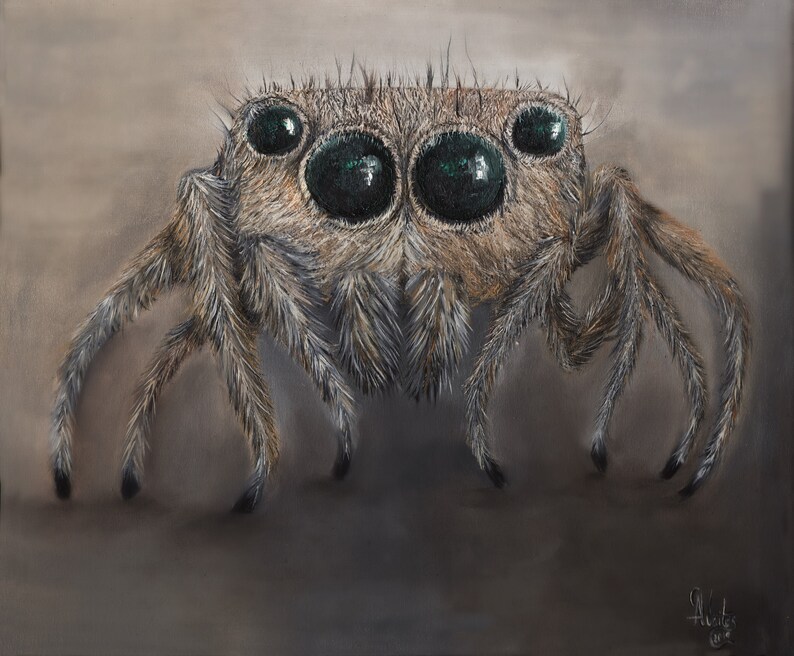 Realistic jumping spider giclee print. Cute spider painting. | Etsy