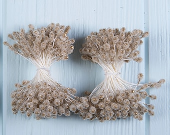 Japanese Gold Double Glassy Stamens, 2 Bundles (288 Pieces Total) for Floral Arrangements and Crafting