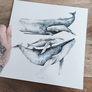 Illustration card 21cm whale ocean watercolor minimaki