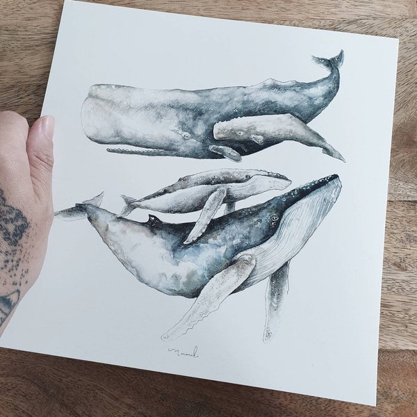 Carte illustration  21cm baleine ocean aquarelle minimaki