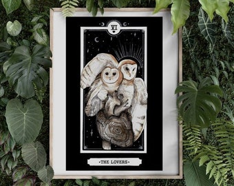 single owl poster tarot card owl poster nature magic lover card