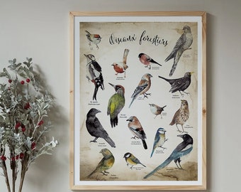 poster nature forest forest birds watercolor
