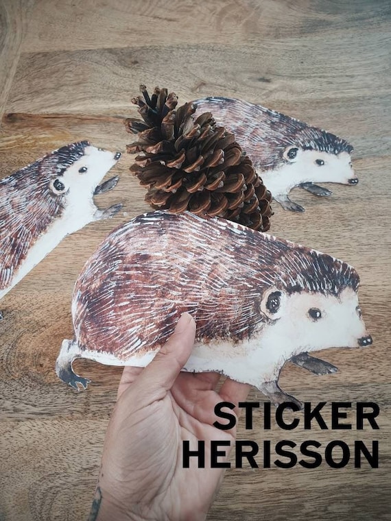 Hedgehog sticker, forest woodland watercolor decoration bedroom wall sticker