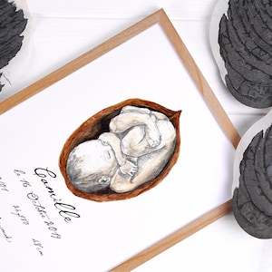 cartel de nacimiento personalizado bebé nueces acuarela diseño escandinavo hygge regalo de Navidad