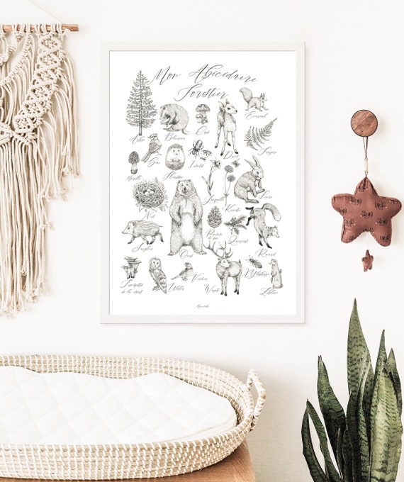 poster only ABC foret animals poster french back to school education learning birth woodland