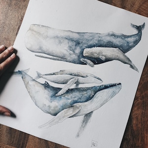 aquarelle originale  ocean baleines carte minimaki