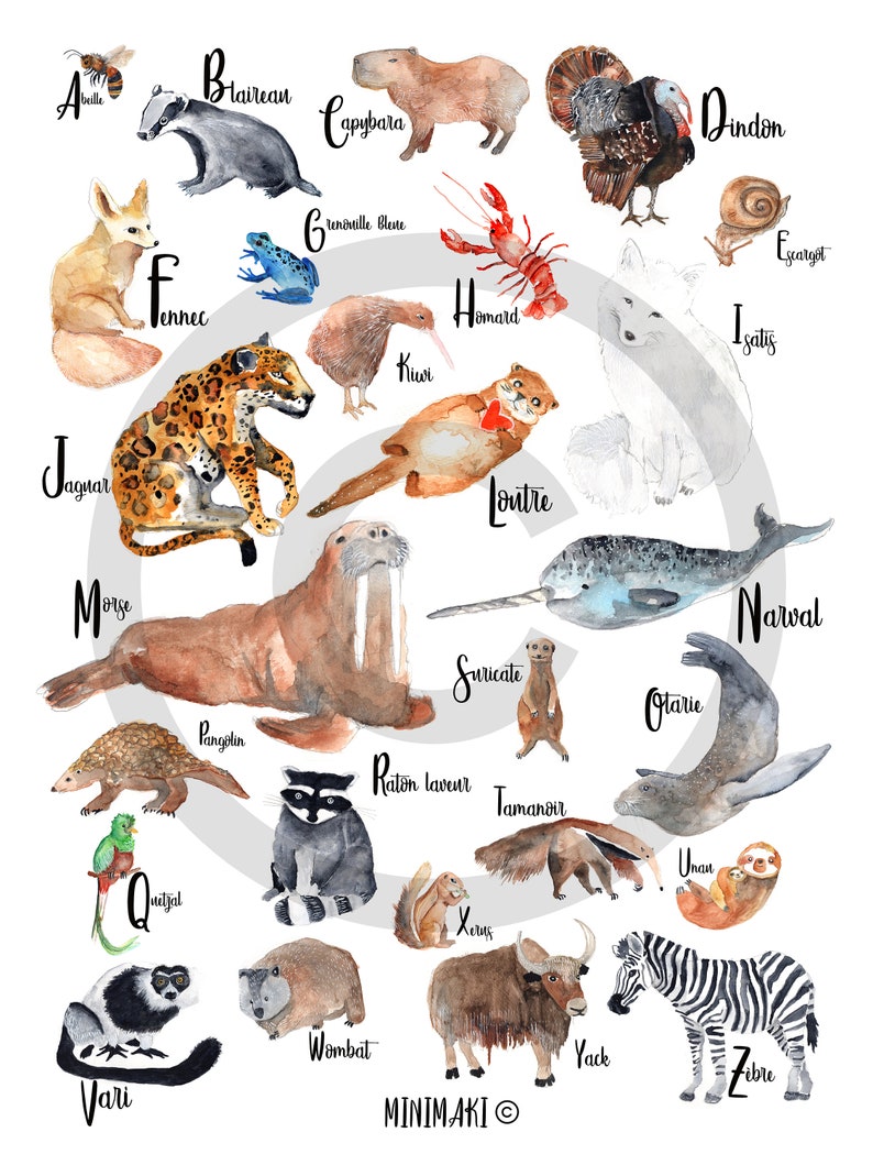 alphabet français animaux bébé enfant aquarelle decoration chambre abécédaire image 2