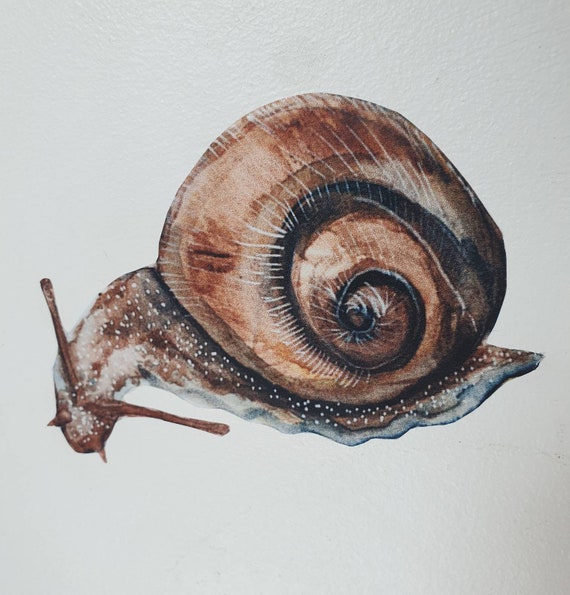 Snail sticker wall sticker forest woodland watercolor room decoration