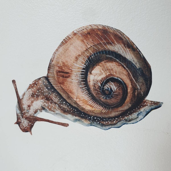 Sticker escargot sticker mural forêt woodland aquarelle  decoration chambre