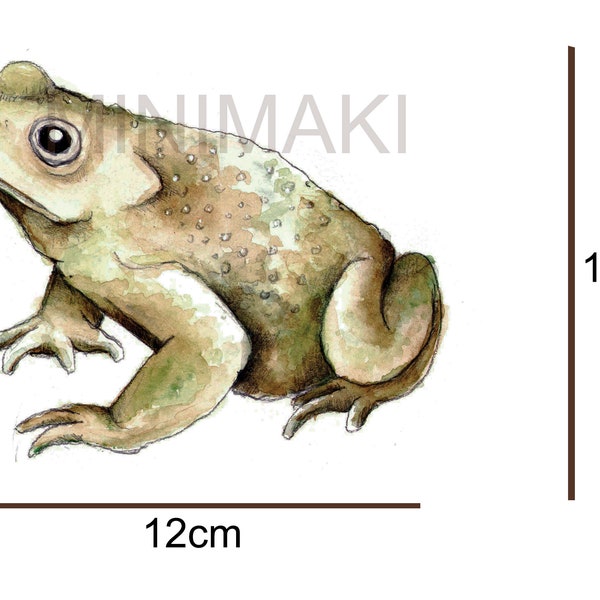 Sticker grenouille crapaud, sticker mural forêt woodland aquarelle  decoration chambre