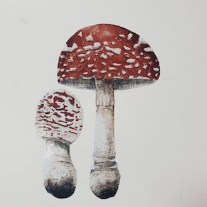 Mushroom sticker, forest woodland watercolor decoration bedroom wall sticker
