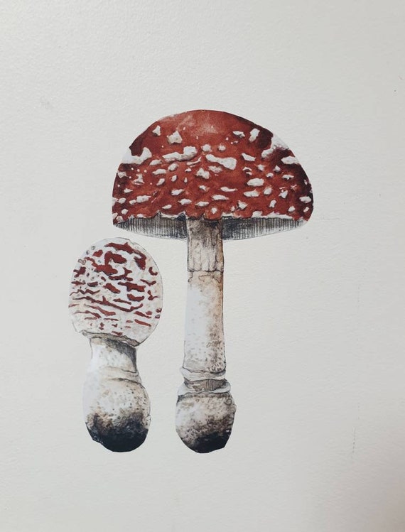 Mushroom sticker, forest woodland watercolor decoration bedroom wall sticker
