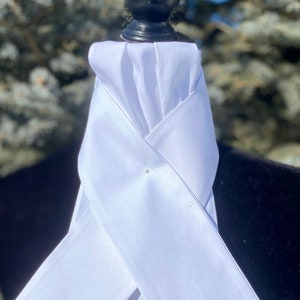 Pretied Equestrian Stock Tie