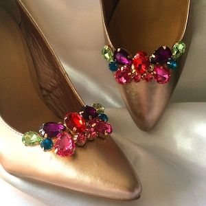 Lizzie Multicoloured Shoe Clips - 2 stunning designs to choose from