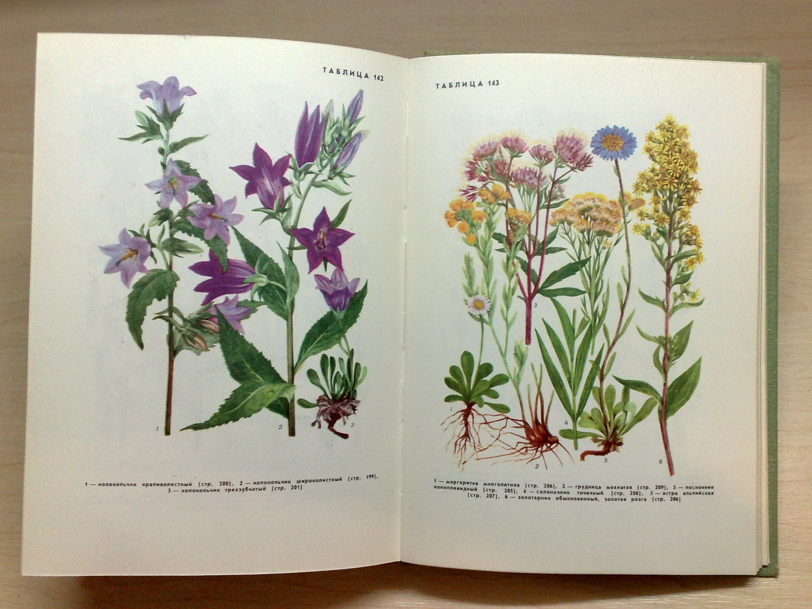 Botanical Book floral illustrations Vintage flower Etsy