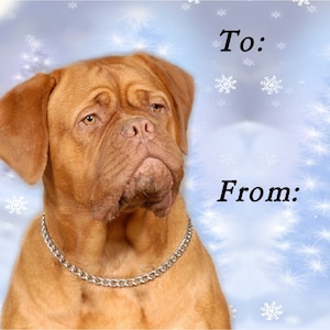 Bordeauxdog kerstcadeaulabels, verwijderbaar zelfklevend, 2 vellen van 21 labels, in totaal 42 labels
