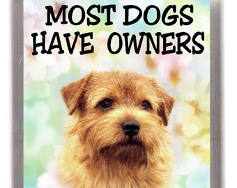 Norfolk Terrier Art Etsy Norfolk Terrier Art Etsy