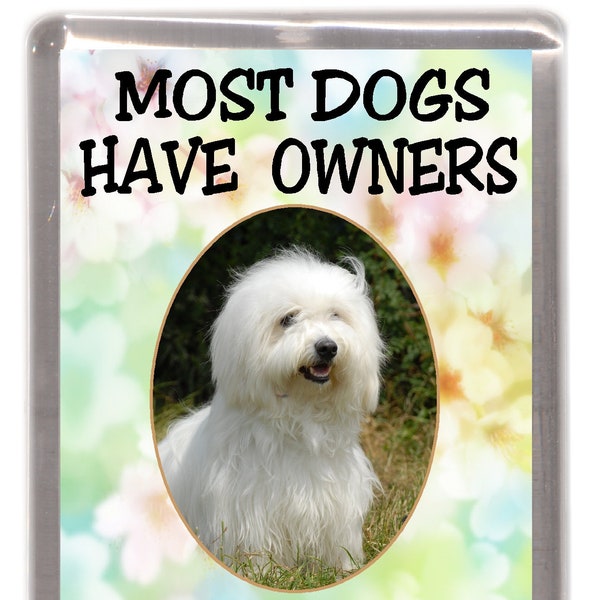 Coton de Tulear Fridge Magnet - Most Dogs Have Owners Coton De Tulear Have Staff. Great Gift for any Dog Lover