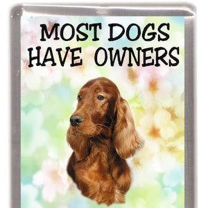 Irish Setter Dog Fridge Magnet - Most Dogs Have Owners Setters Have Staff. Great Gift for any Dog Lover