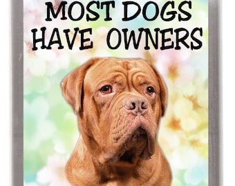 DOGUE DE BORDEAUX embroidered jacket ANY COLOR