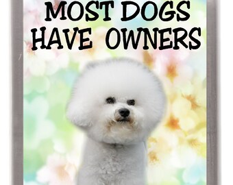 Bichon Frise Dog Fridge Magnet - Most Dogs Have Owners Bichons Have Staff. Great Gift for any Dog Lover