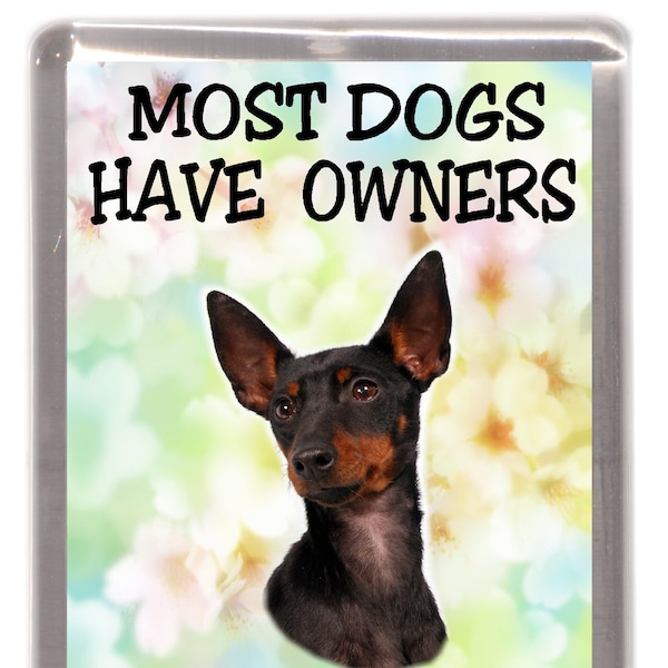 English Toy Terrier aimant de réfrigérateur - la plupart des chiens ont des propriétaires anglais Toy Terriers ont du personnel. Grand cadeau pour tout amateur de chien