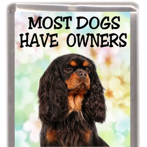 Cavalier King Charles Spaniel (Black & Tan) Fridge Magnet - Most Dogs Have Owners Cavaliers Have Staff. Great Gift for any Dog Lover