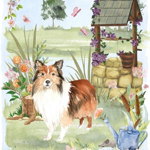 Chien de berger Shetland / Carte vierge / Bloc-notes pour chien Sheltie (6 x 4 po.) avec enveloppe - Souhaits bien. Article parfait pour tous les amoureux des chiens