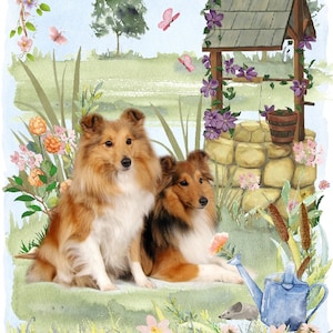 Tarjeta en blanco para perro pastor Shetland/perro Sheltie/nota (6" x 4") con sobre, diseño Wishing Well. Artículo perfecto para cualquier amante de los perros.