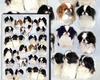 Japanisches Chin Hunde Geschenkpapier mit passender Geschenkkarte.  Machen Sie Ihr Geschenk zu etwas ganz Besonderem