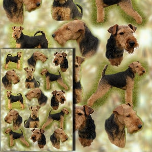Terrier-Geschenkpapier mit passender Geschenkkarte - machen Sie Ihr Geschenk zu etwas ganz Besonderem mit dieser hochwertigen Geschenkverpackung.