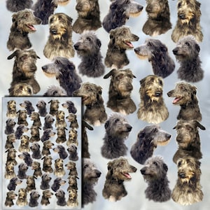 Papel de regalo para envolver regalos con diseño de perro Deerhound y tarjeta de regalo a juego: haga que su regalo sea aún más especial con este papel de regalo de calidad.