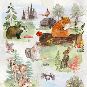 Carta da regalo per la fauna selvatica del bosco con carta regalo abbinata raffigurante una volpe, un coniglio, un tasso, un cervo, uno scoiattolo e altro ancora. Un foglio con cartoncino.
