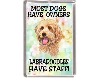 May include: A magnet with a light brown Labradoodle dog on a colorful background. The text reads "Most dogs have owners, Labradoodles have staff!"